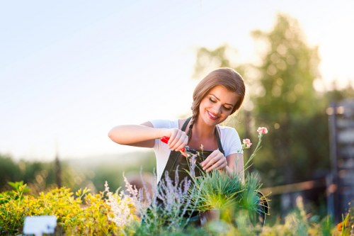 Expert landscaping and garden design services in Herne Hill