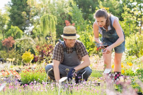 Healthy trees maintained through expert tree services