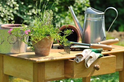 Pest management in a Herne Hill garden