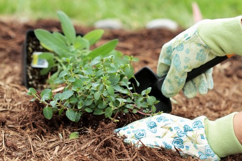 Garden soil preparation with compost in Herne Hill