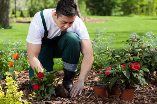 Pest control measures for Herne Hill gardens