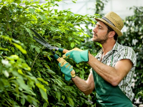 Eco-friendly garden clearance practices