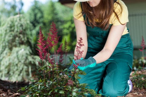 Operative wearing full PPE while performing garden maintenance work