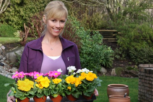 Various types of lawn mowers for different gardens