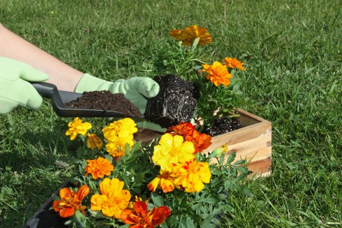 Seasonal garden maintenance services in Herne Hill