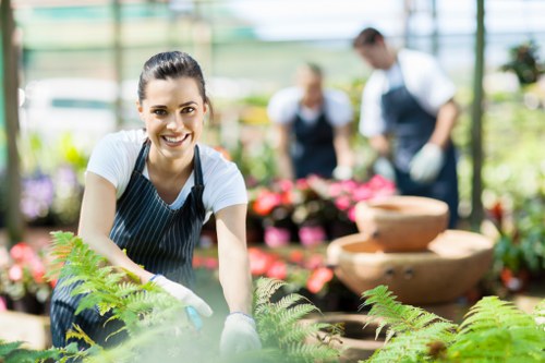 Professional garden clearance in Herne Hill