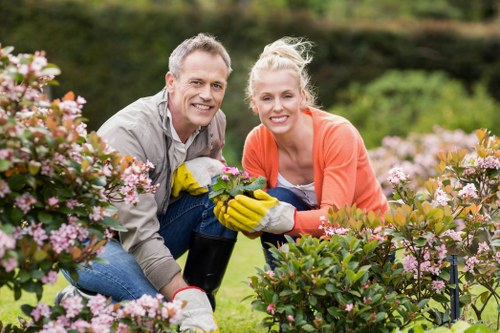 Professional garden maintenance in Herne Hill