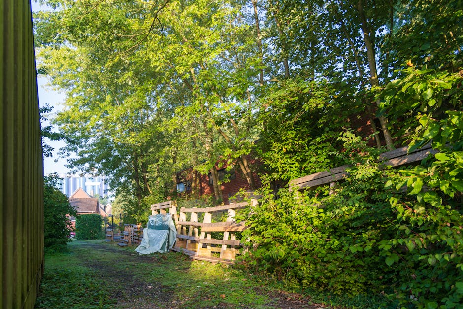 A narrow garden pathway bordered by a wooden fence on the left and a densely foliated hedge on the right, both showing fresh, lush green leaves illuminated by bright sunlight. The ground features a mi