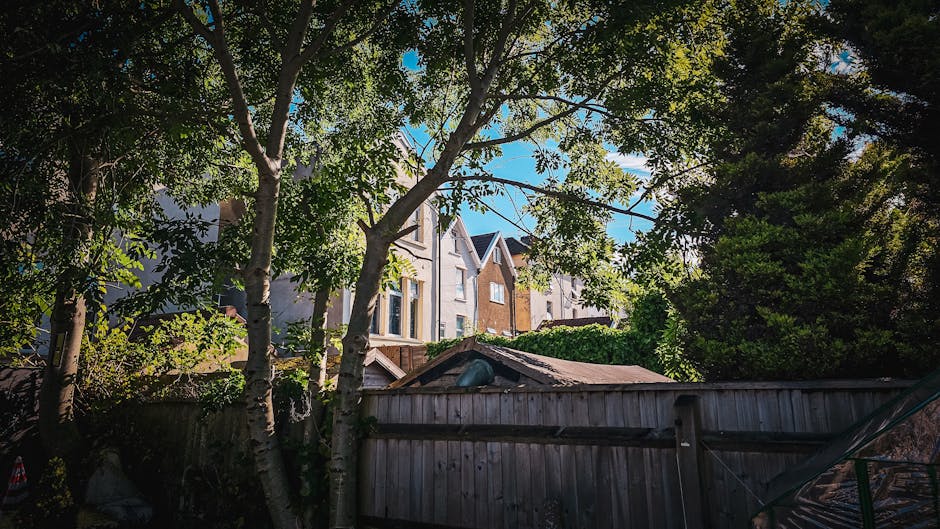 A garden scene in Herne Hill featuring a wooden garden fence with a weathered, slightly faded surface, partially obscured by a mix of mature trees with broad green leaves and slender white bark trunks